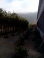 /album/fotogaleria-identificacion-del-centro-de-practica-/img038-jpg/