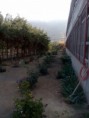 /album/fotogaleria-identificacion-del-centro-de-practica-/img039-jpg/